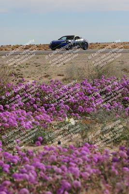 media/Jan-08-2023-SCCA SD (Sun) [[8f6a5b9391]]/Advanced Group/Session 2 (Short Straight)/